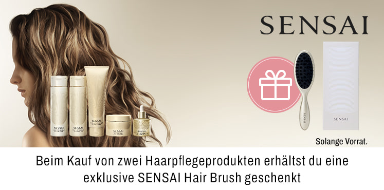 Beim Kauf von zwei Haarpflegeprodukten erhaeltst du eine exklusive SENSAI Hair Brush geschenkt
