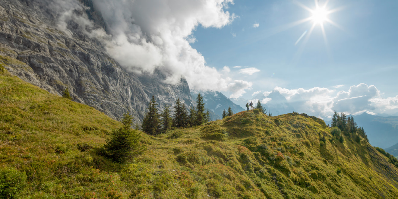 mountains sun grass field