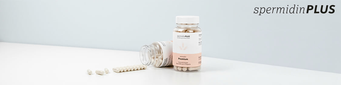 spermidinPlus spermidinPlus