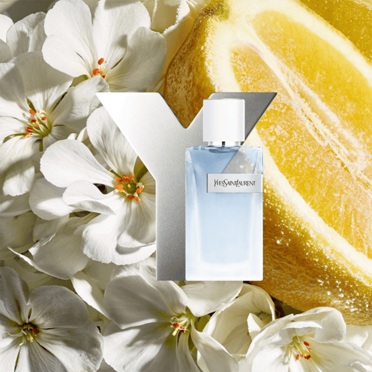 Y Eau Fraiche • Yves Saint Laurent • Fern Scent for Men • haar-shop.ch