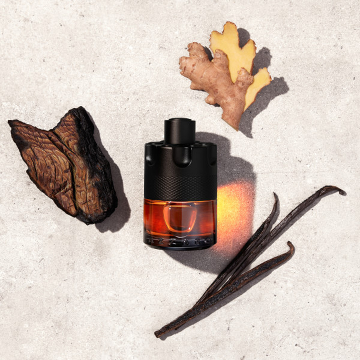 Azzaro The Most Wanted Le Parfum • Intense Men