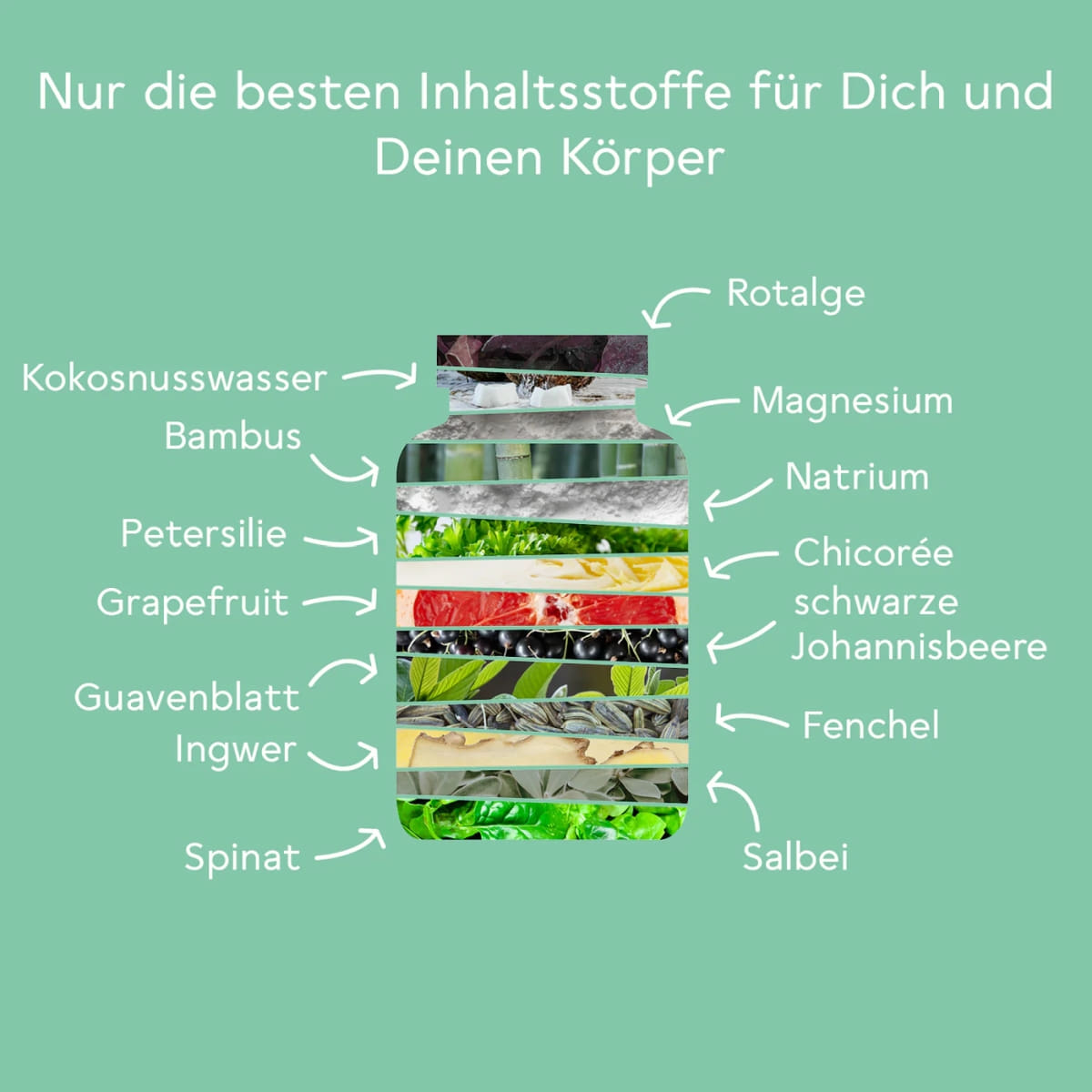 Plus Bitter Basen Komplex - 120 Kapseln