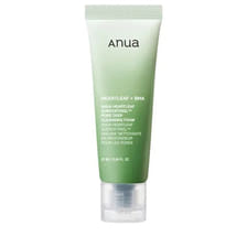 Heartleaf Quercetinol Pore Deep Cleansing Foam