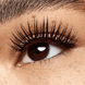 What The Fake! False Lashes - 02 Dramatic Curl