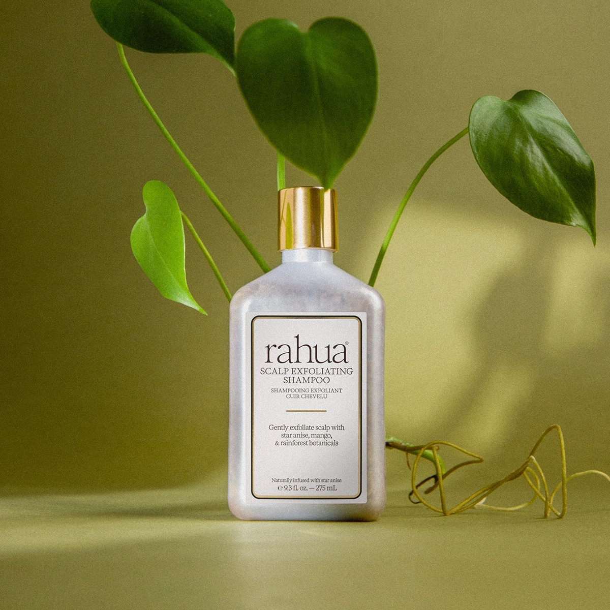Scalp Exfoliating Shampoo