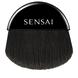 Pressed Powder