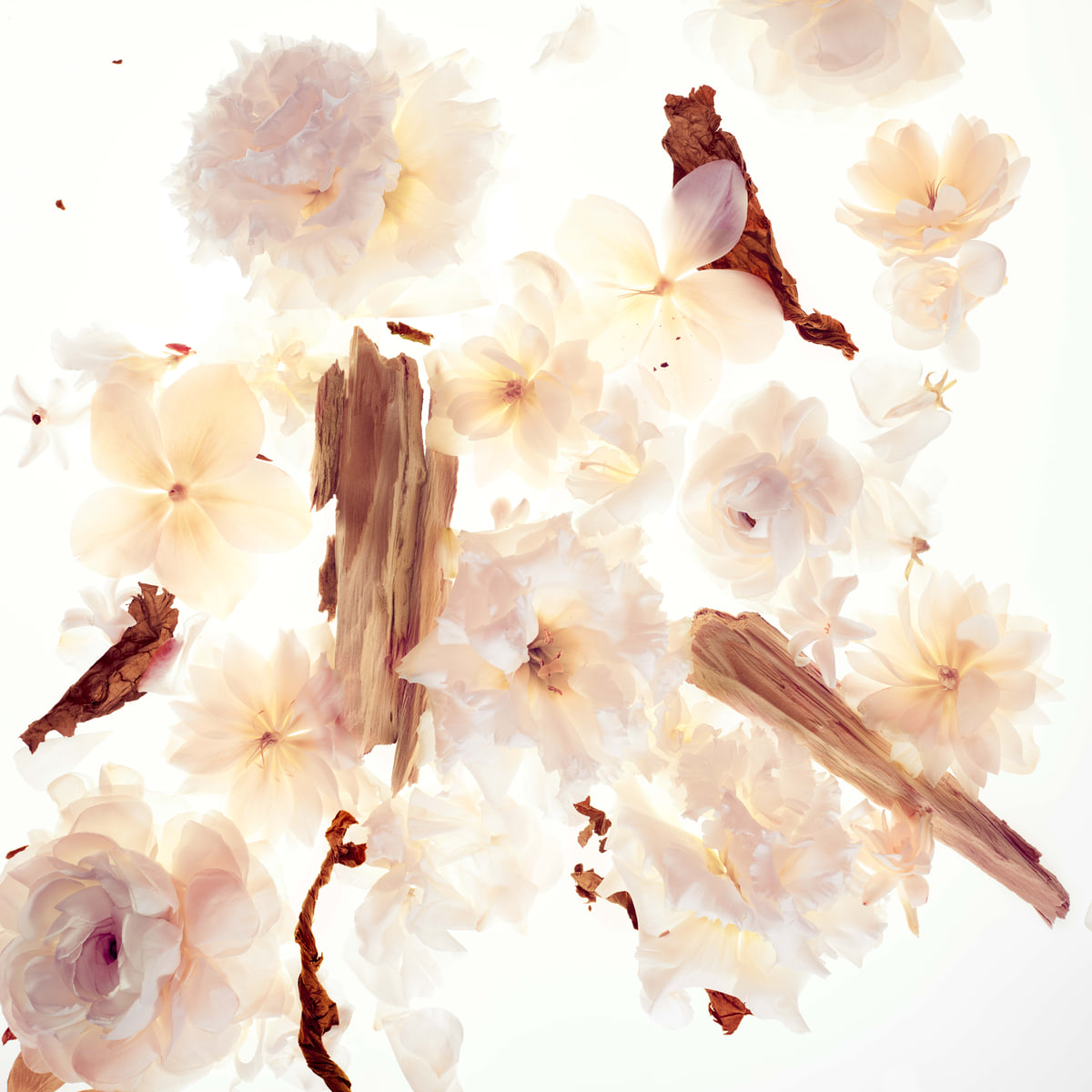 Eau de Parfum Spray