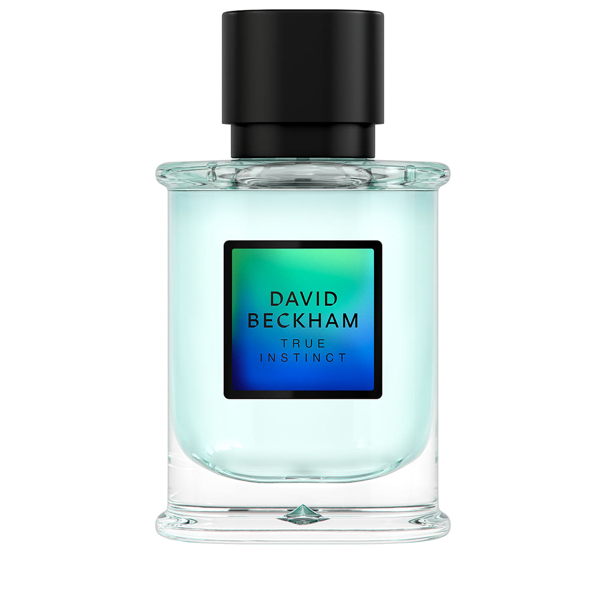 True Instinct Eau de Parfum 