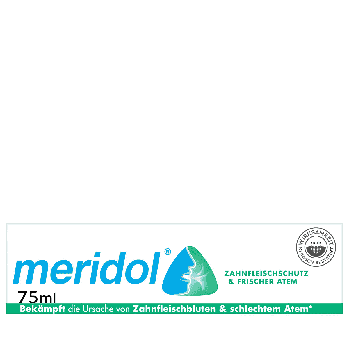 Gum Protection & Fresh Breath Toothpaste