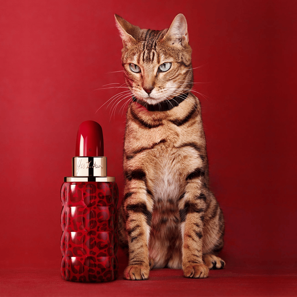Yes I Am Eau de Parfum Collector Edition