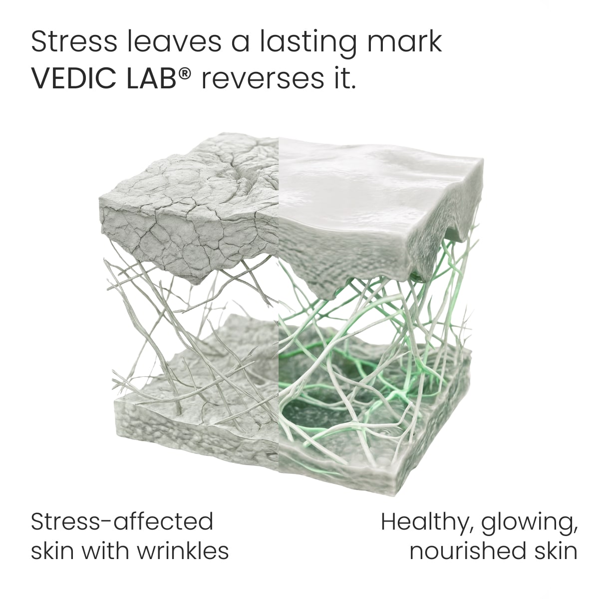 Sleep Recovery Night Cream