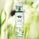 L'Eau Rêvée d'Alma