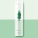 Shampoo Thick Hair