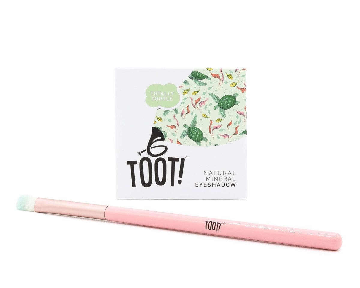 Totally Turtle Eyeshadow Box Set