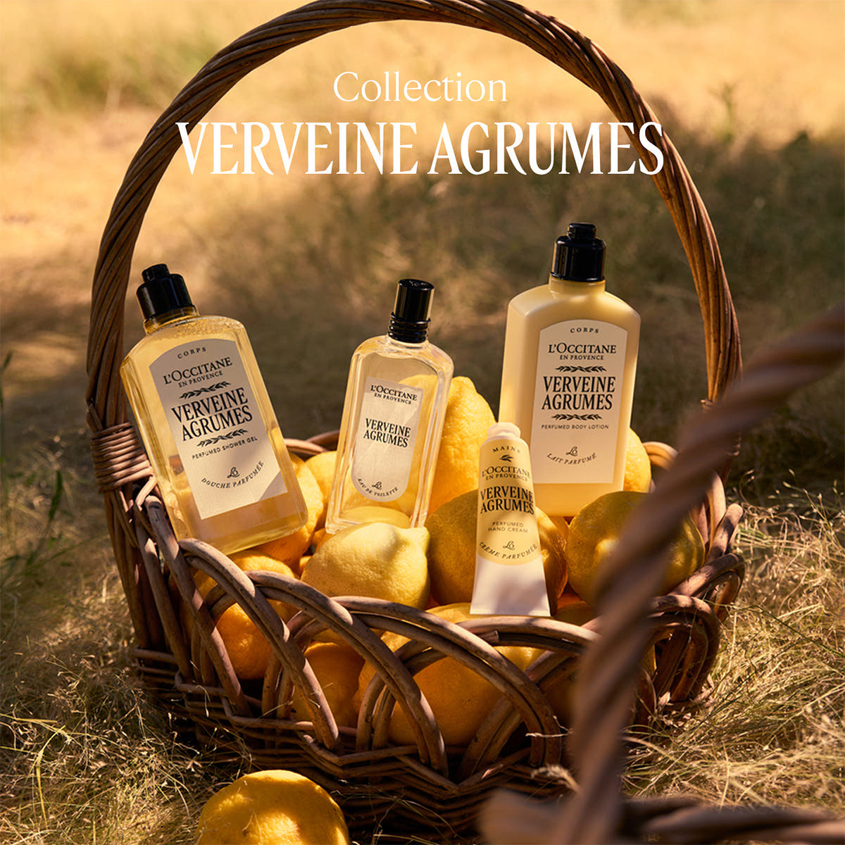 Verveine Agrumes Eau de Toilette