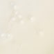 Platinum Stem Cell Elixir