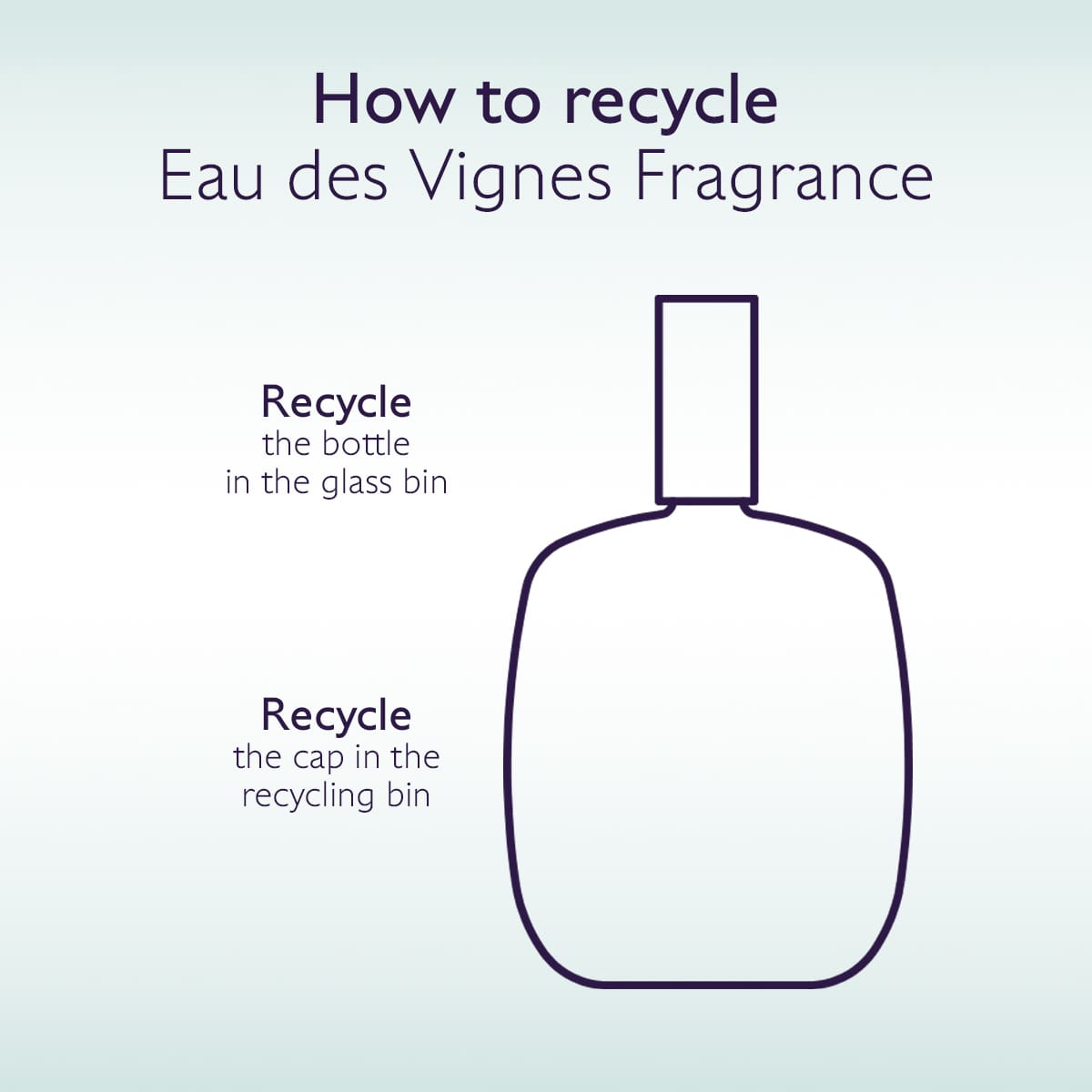 Fresh Fragrance