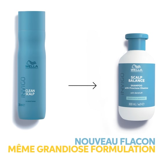 Clean Shampoo