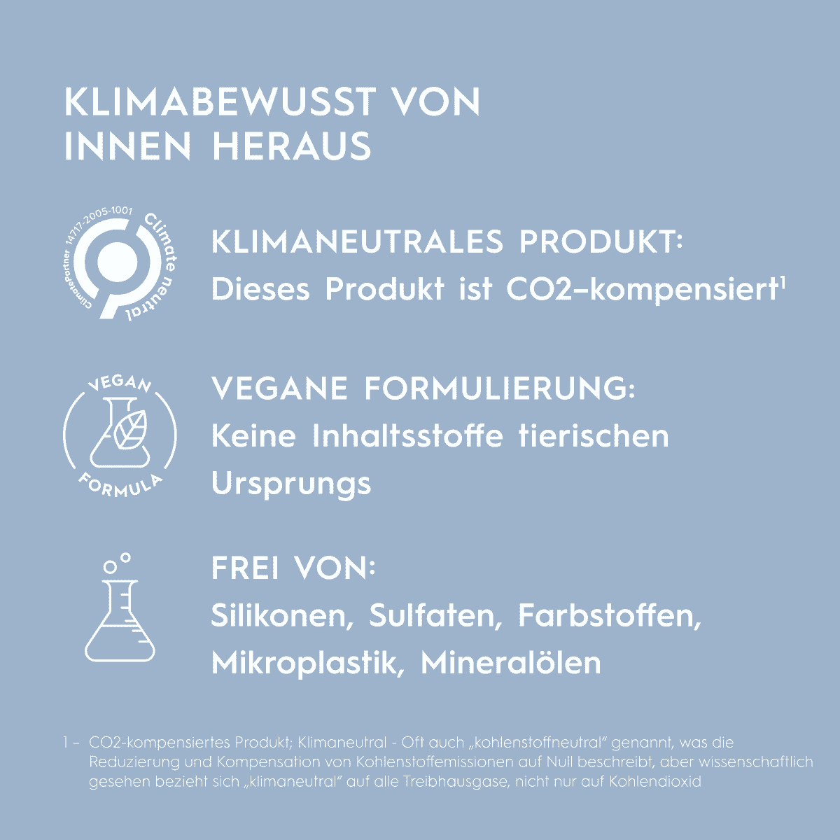 Reparatur Spray