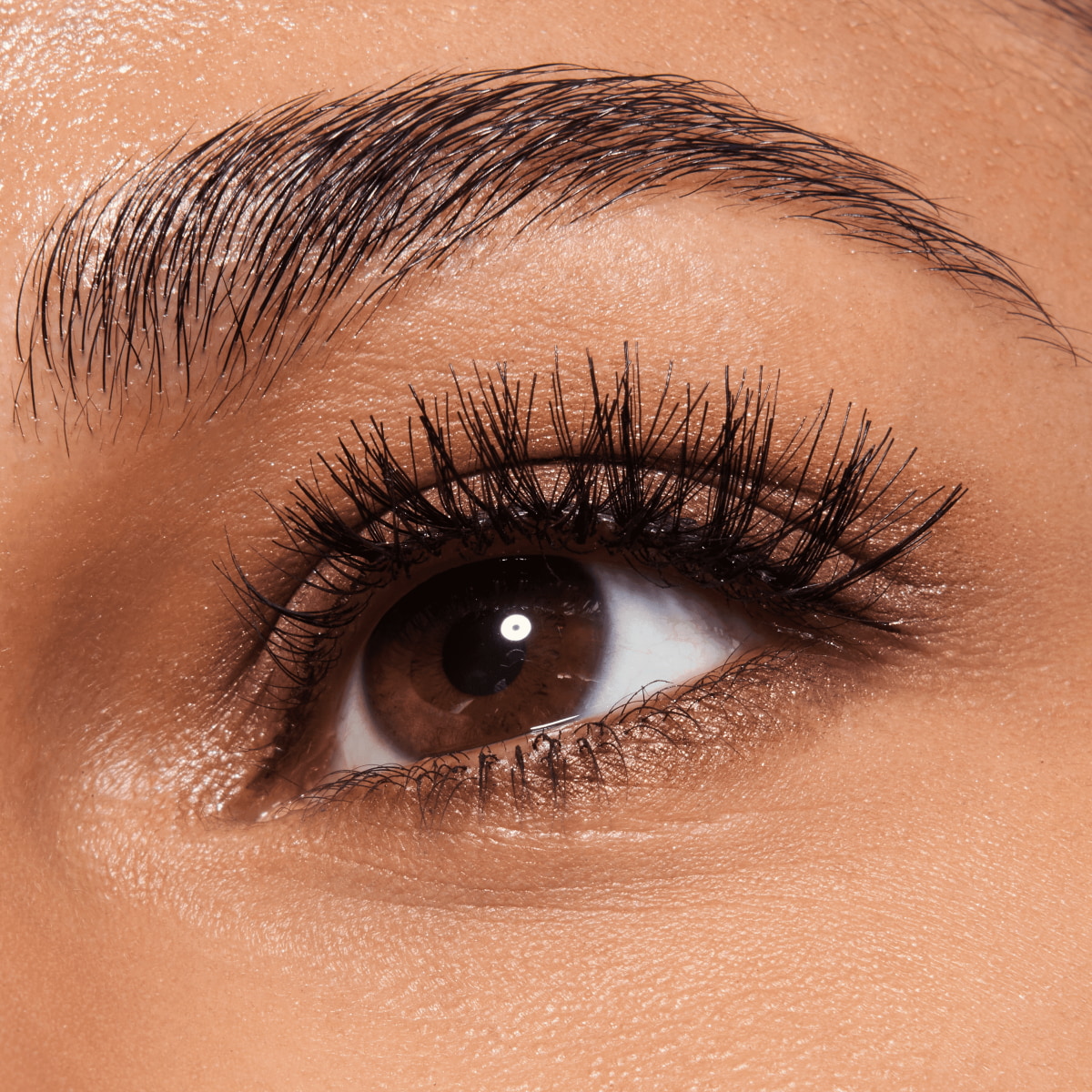 Faked 3/4 Pre-Cut Lashes