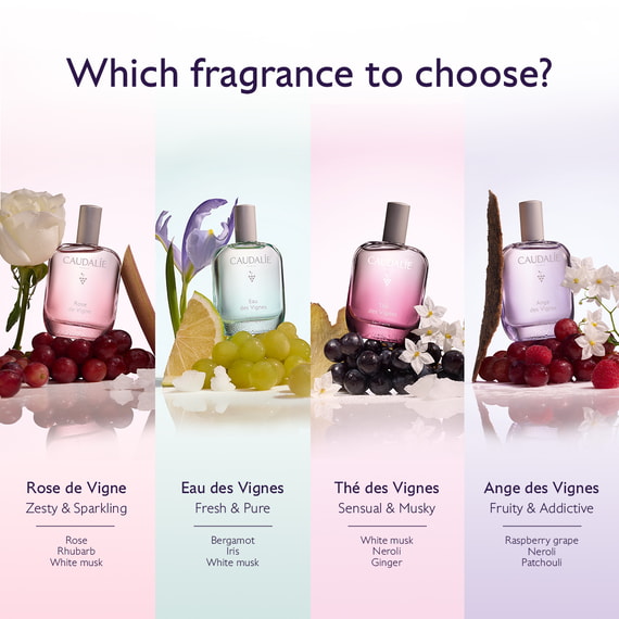Fresh Fragrance