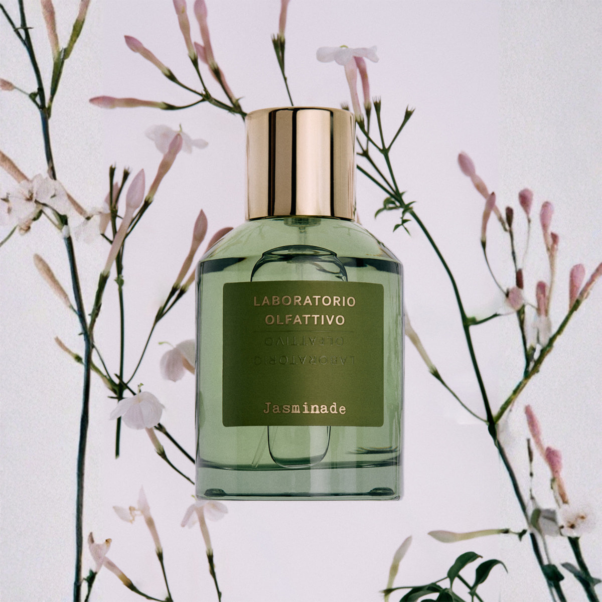 Jasminade
