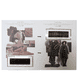 Igora Ashy Cedar & Earthy Clay Essentials colour card