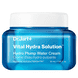 Vital Hydra Solution Hydro Plump Water Cream