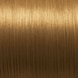 6/3 Blond foncé doré