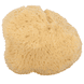 Facial Sponge