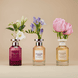 Authentic Moment Women Eau de Toilette