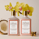 Enchanted Island Conditioner