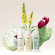 BK Opuntia Cactus Intense Hydrator