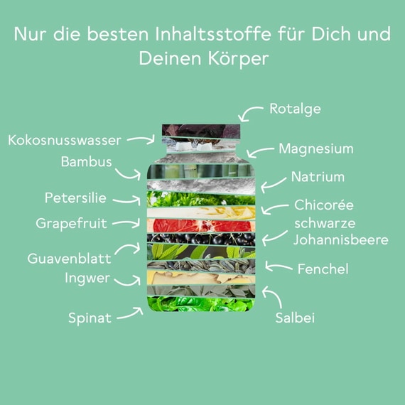 Plus Bitter Basen Komplex - 120 Kapseln