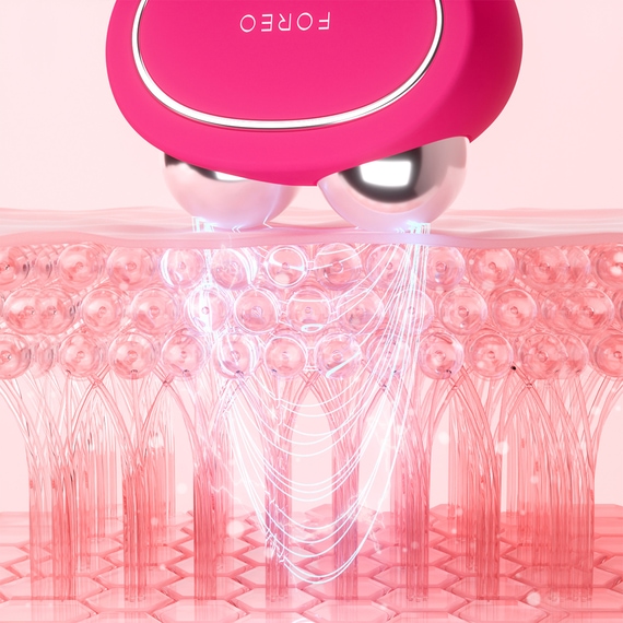 BEAR 2 Fuchsia