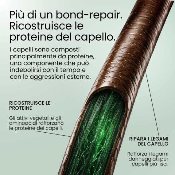 Protein-Repair Conditioner