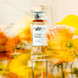 L'Eau Rêvée d'Isa