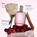 Fresh Fragrance