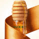 Weihnachts-Geschenkset Rêve de Miel Glossy Glow