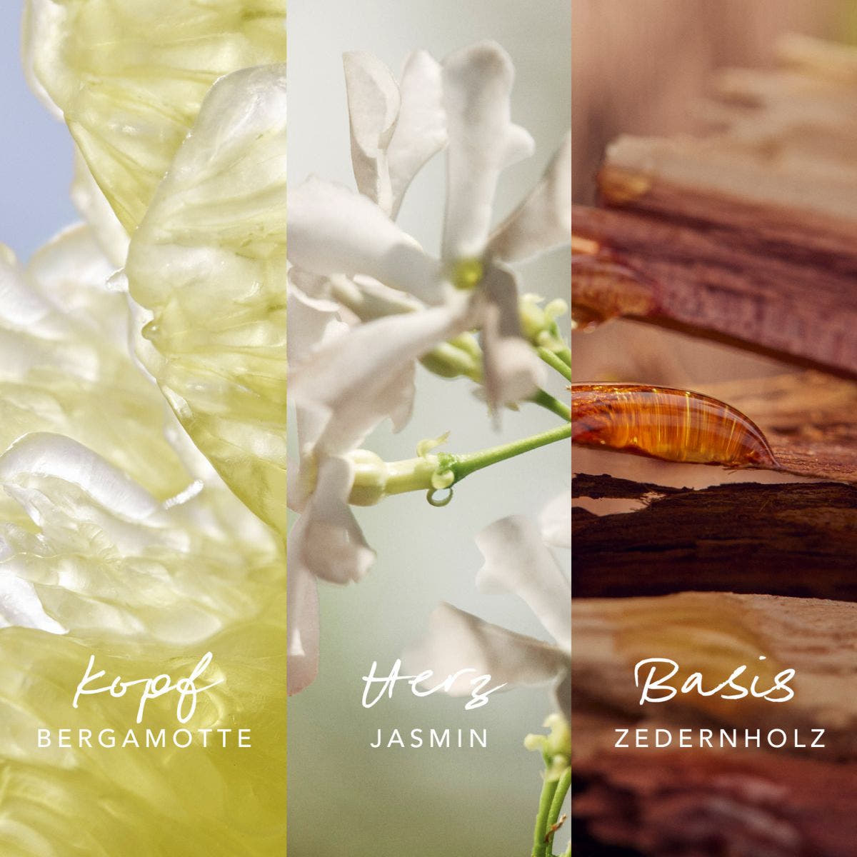 Inspired Nature Woman Eau De Parfum