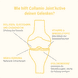 Joint'Active Collagen