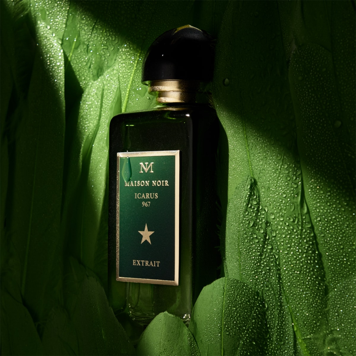 Icarus 947 Extrait