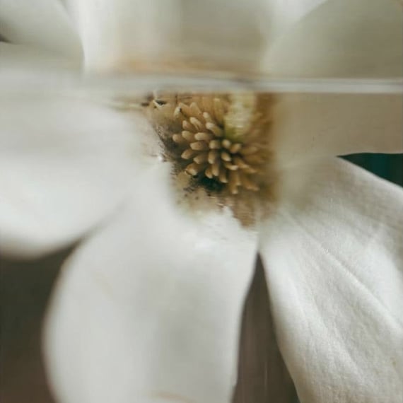 Mezzo Eau De Parfum