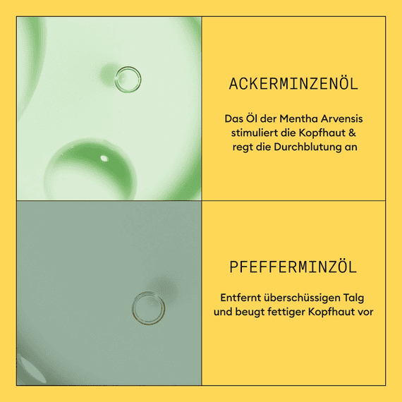 Scalp + Hair Conditioner