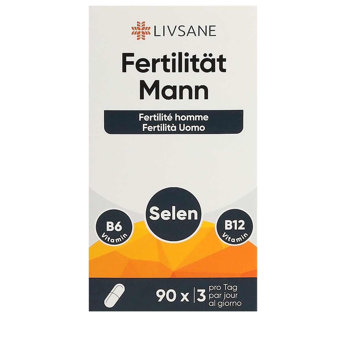 Fertilität Mann - 90 Kapseln