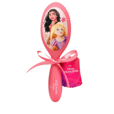 Hair Brush