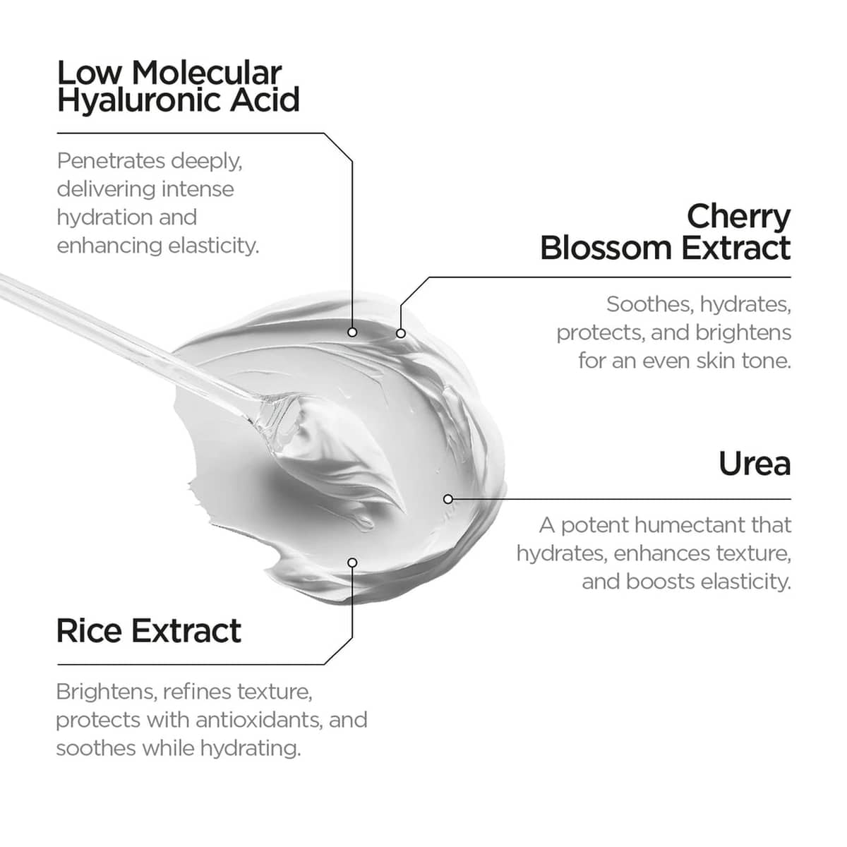 Japanese Routine Face Cream Light Texture