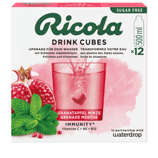 Drink Cubes Pomegranate Mint Sugar Free
