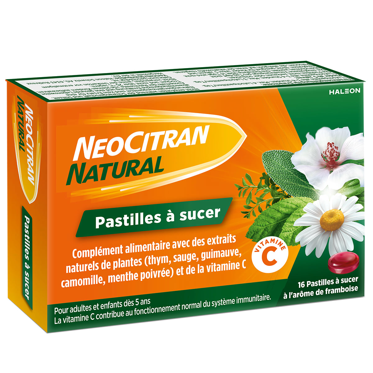 Pastilles Natural