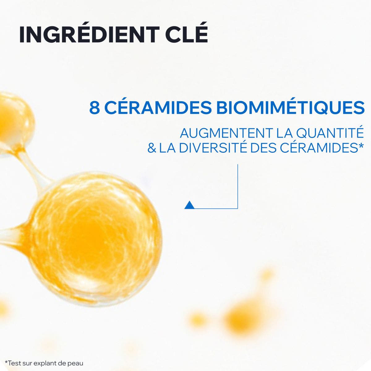 Soin des paupières C8+